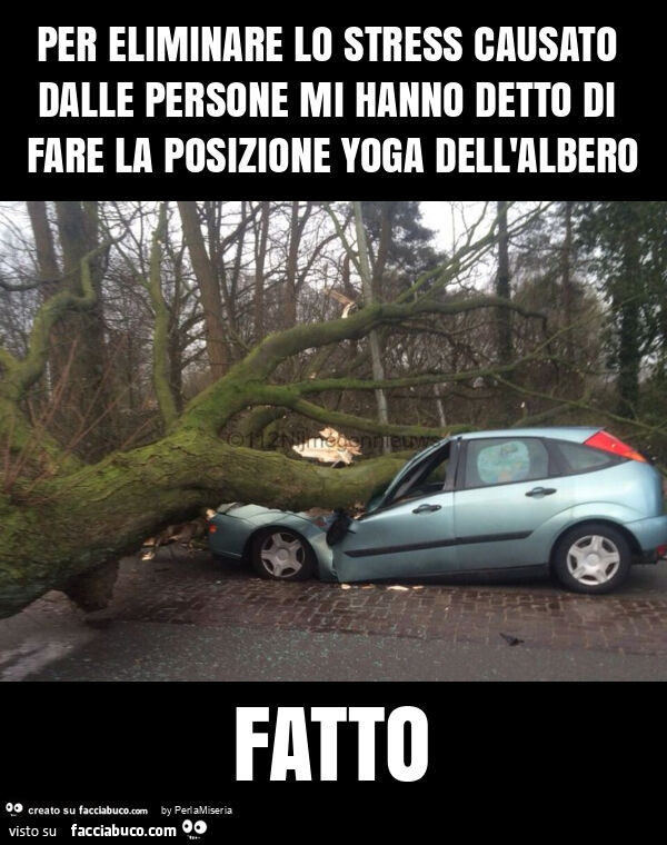 Per eliminare lo stress causato dalle persone mi hanno detto di fare la posizione yoga dell'albero fatto