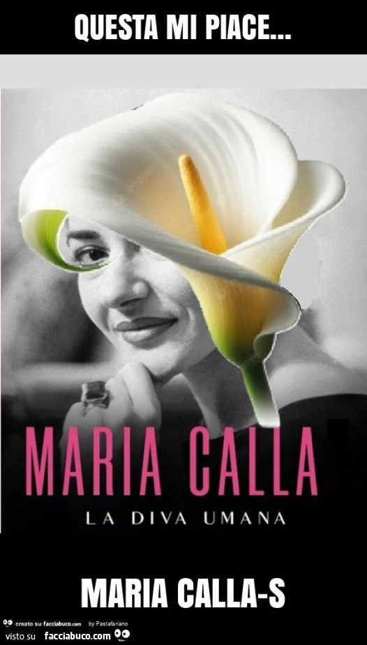 Questa mi piace&hellip; maria calla-s