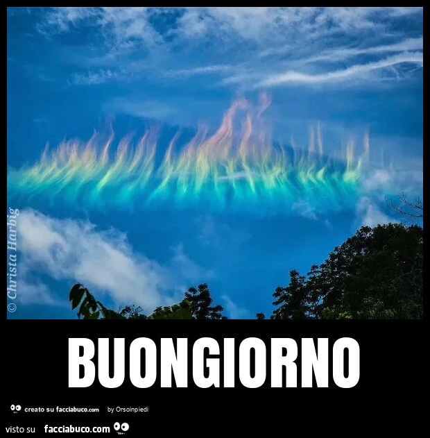 Buongiorno