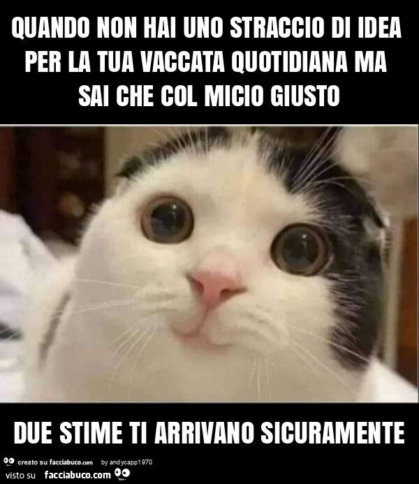 Quando non hai uno straccio di idea per la tua vaccata quotidiana ma sai che col micio giusto due stime ti arrivano sicuramente