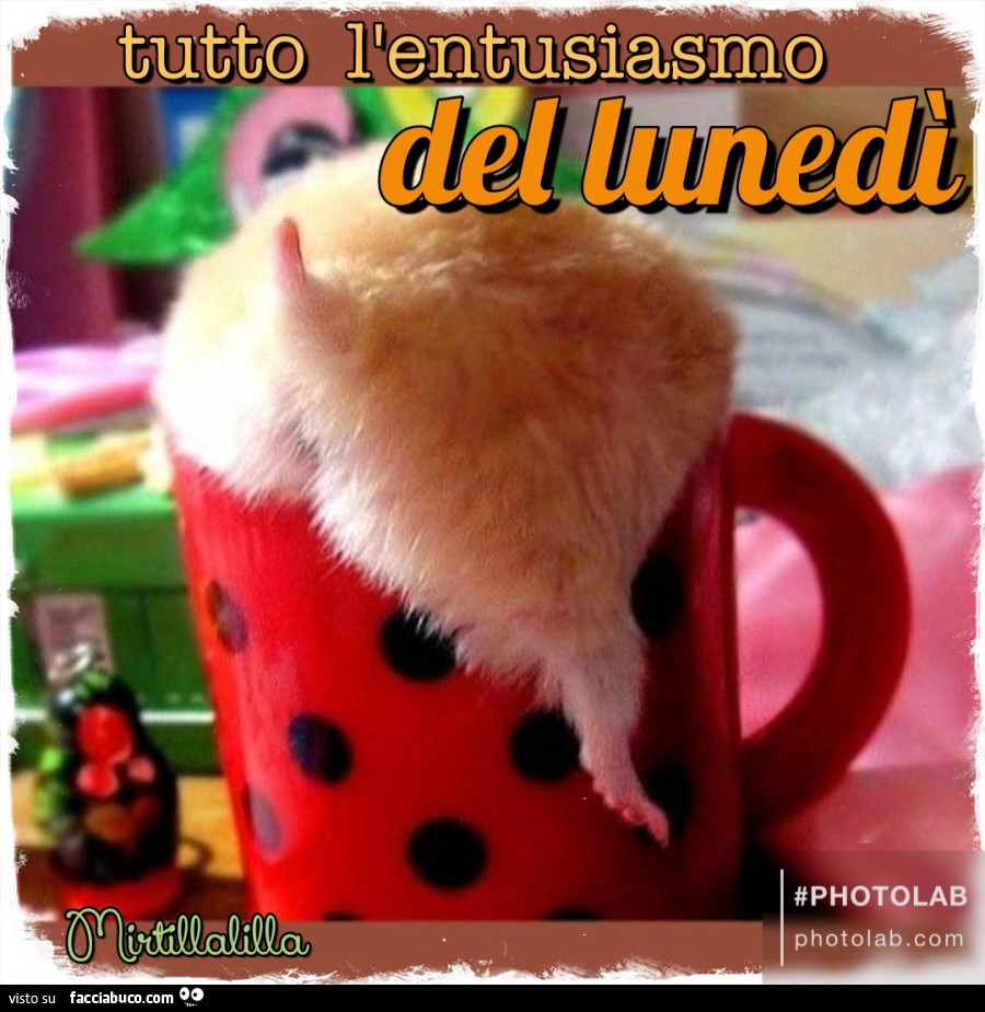 L'entusiasmo del lunedì