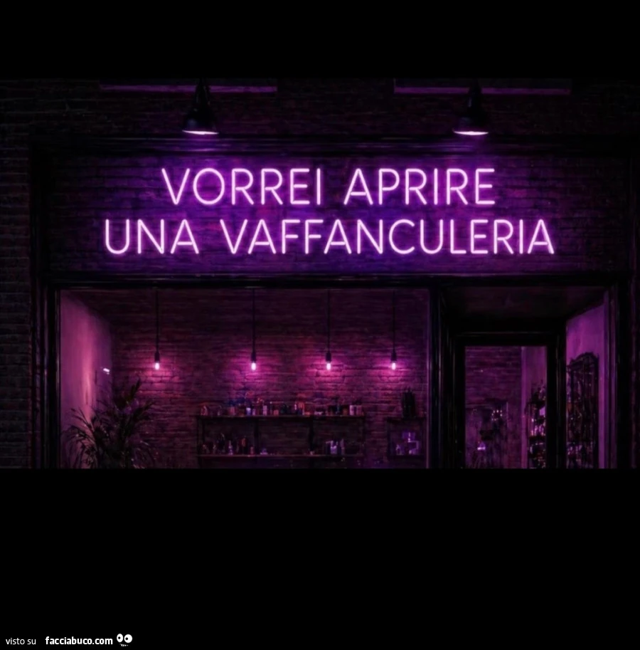 Vorrei aprire una vaffanculeria