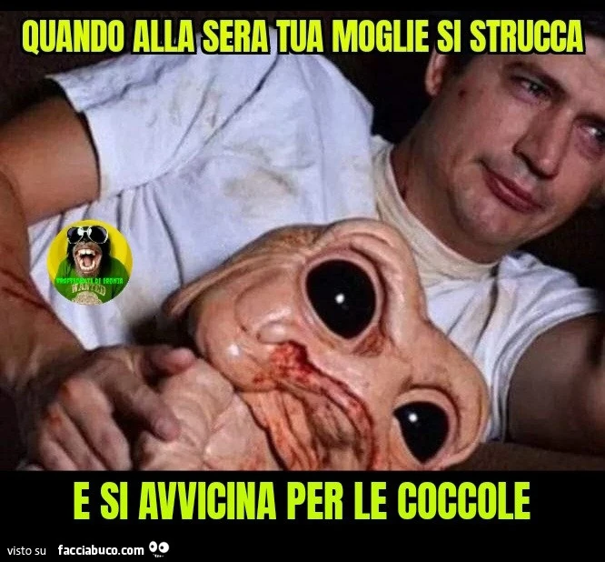 Quando alla sera tua moglie si strucca e si avvicina per le coccole
