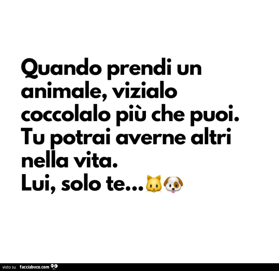 Quando prendi un animale, vizialo coccolalo più che puoi. Tu potrai averne altri nella vita. Lui, solo te