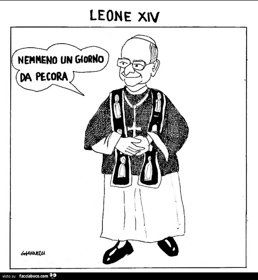 Leone xiv nemmeno un giorno da pecora