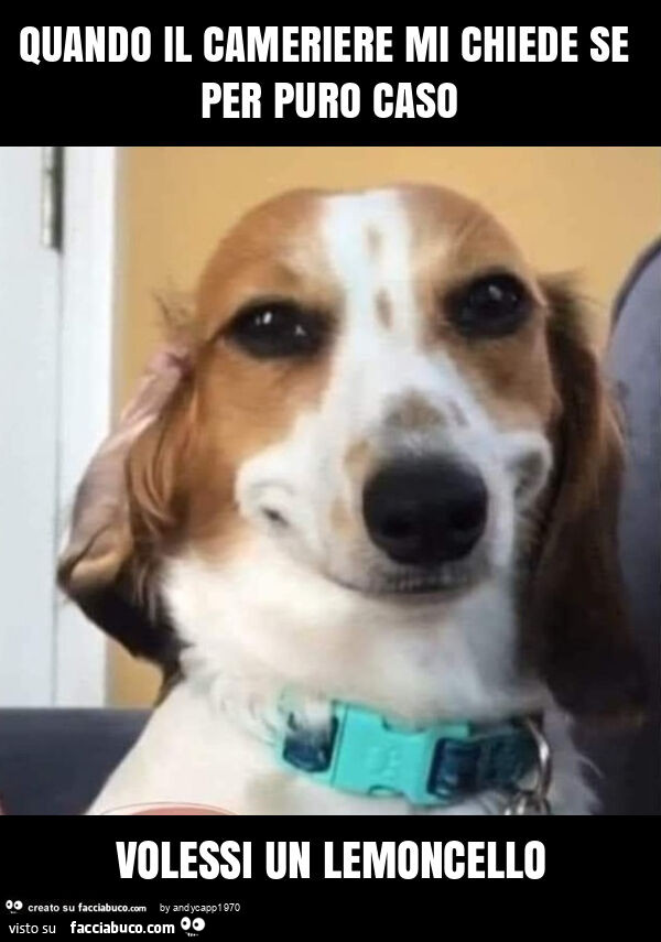 Quando il cameriere mi chiede se per puro caso volessi un lemoncello