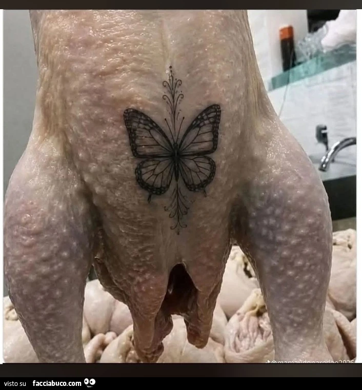 Vaccata