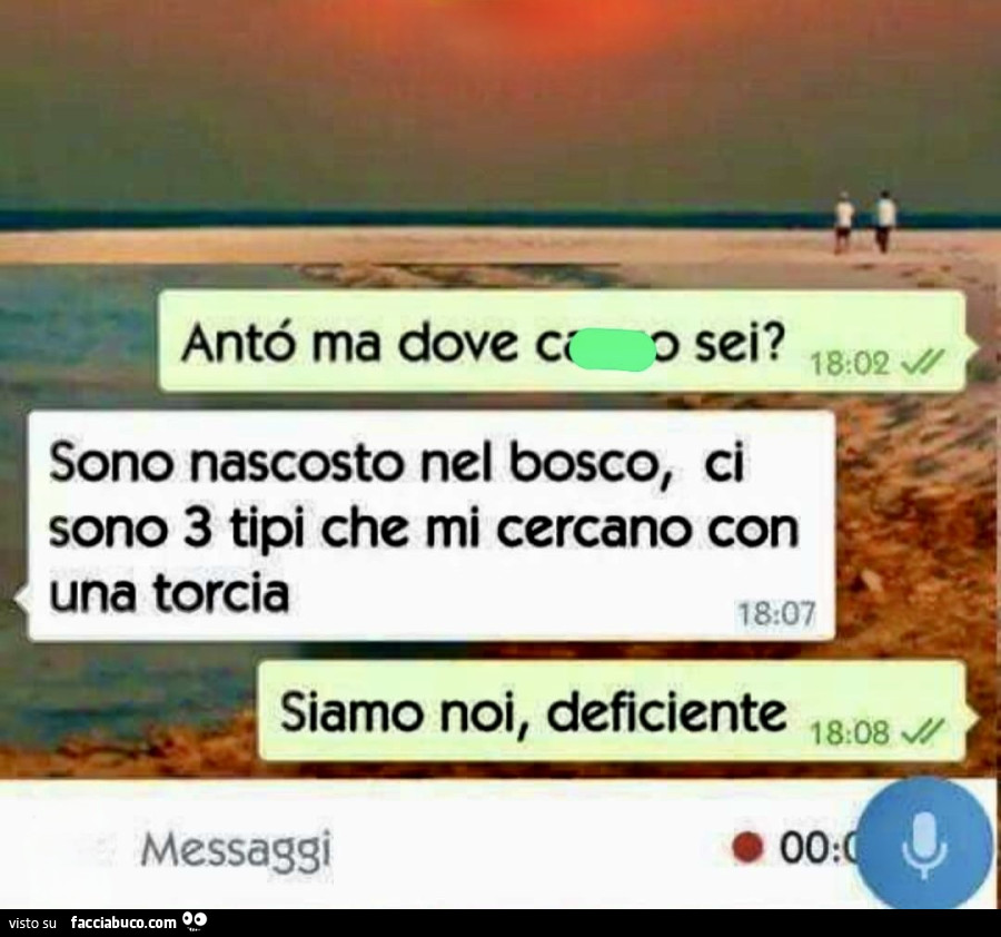 Vaccata