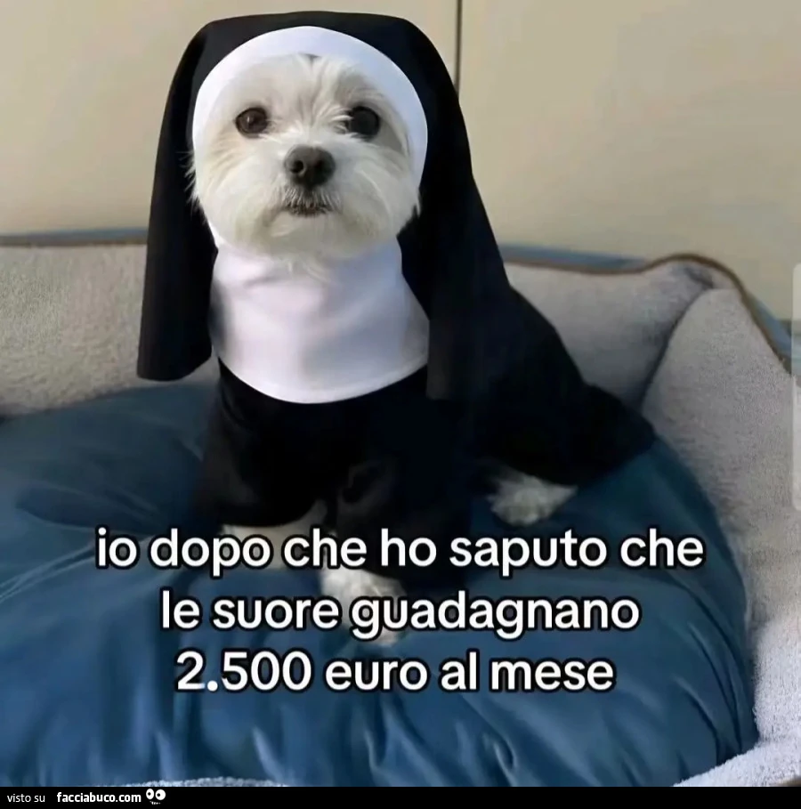 Io dopo che ho saputo che le suore guadagnano 2.500 euro al mese