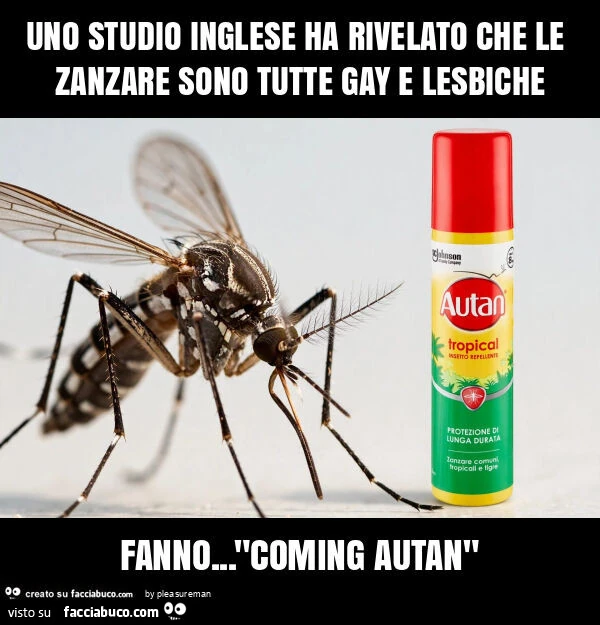 Uno studio inglese ha rivelato che le zanzare sono tutte gay e lesbiche fanno&hellip; "coming autan"
