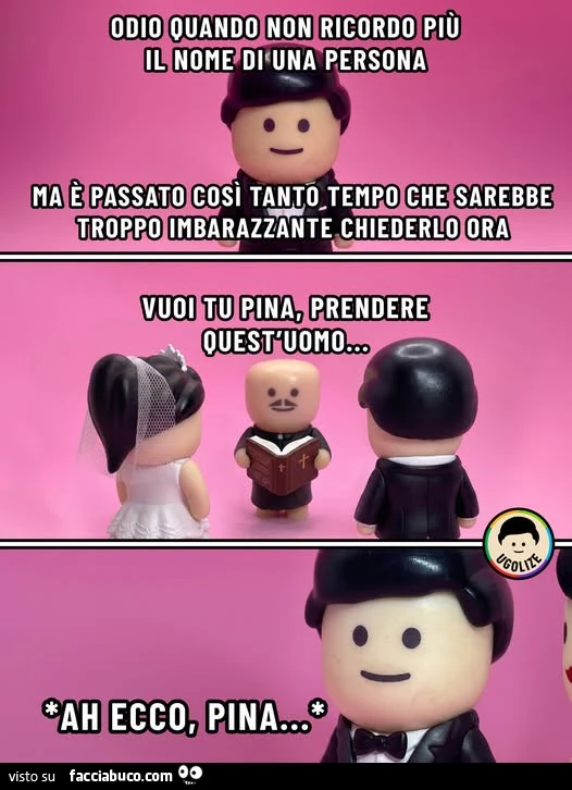 Vaccata