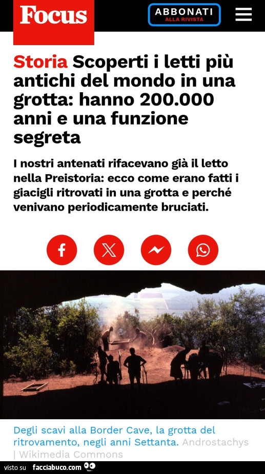 Vaccata