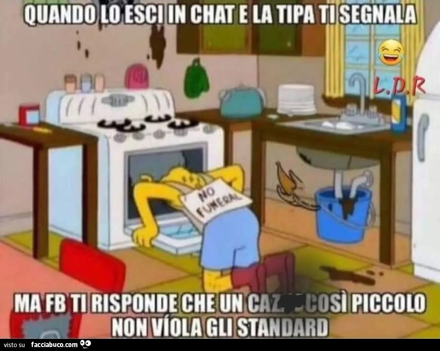 Quando lo esci in chat e la tipa ti segnala ma facciabuco risponde che un cazzo così piccolo non viola gli standard