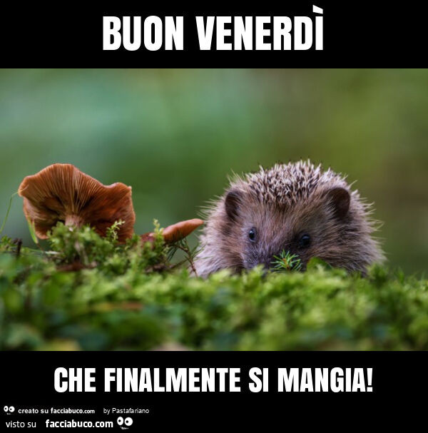 Buon venerdรฌ che finalmente si mangia