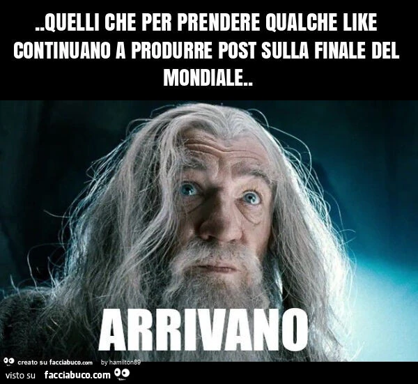 Quelli che per prendere qualche like continuano a produrre post sulla finale del mondiale