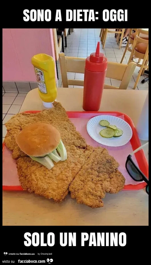 Sono a dieta: oggi solo un panino