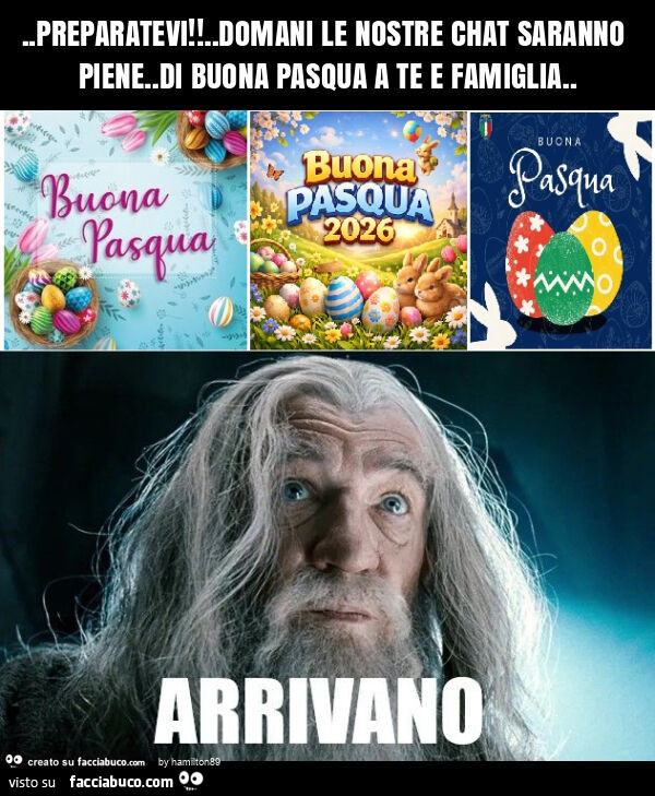 Preparatevi! . Domani le nostre chat saranno piene. Di buona pasqua a te e famiglia