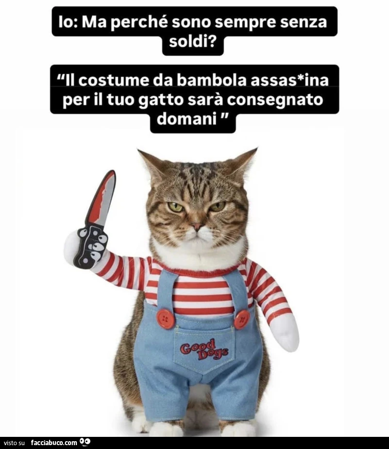 Vaccata