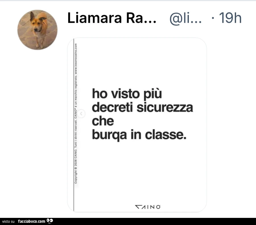 Ho visto più decreti sicurezza che burqa in classe