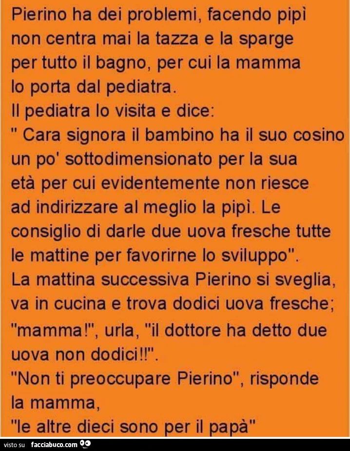 Pierino ha dei problemi, facendo pipì non centra mai la tazza e la sparge per tutto il bagno