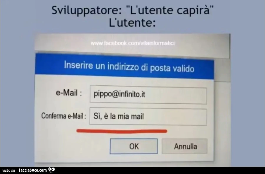 Sviluppatore: "L'utente capirà" L'utente: Inserire un indirizzo di posta valido e-Mail: pippo@infinito. It Conferma e-Mal: Sì, è la mia mail