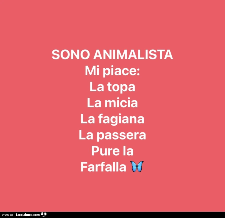 Vaccata