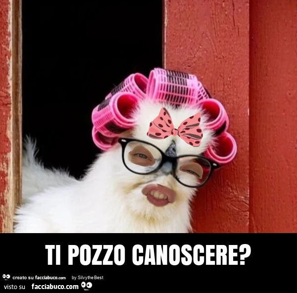 Ti pozzo canoscere?