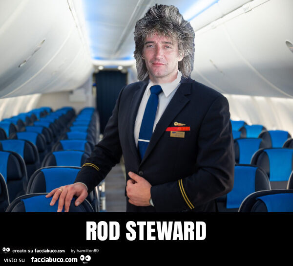 Rod steward