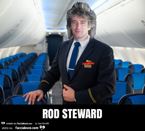 Rod steward