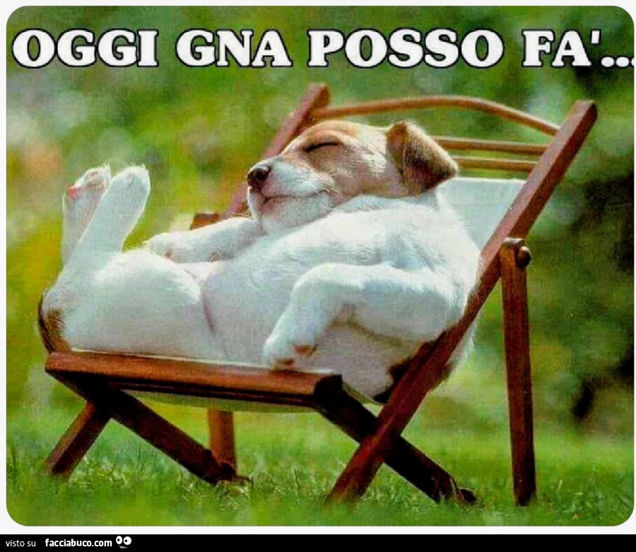 Oggi