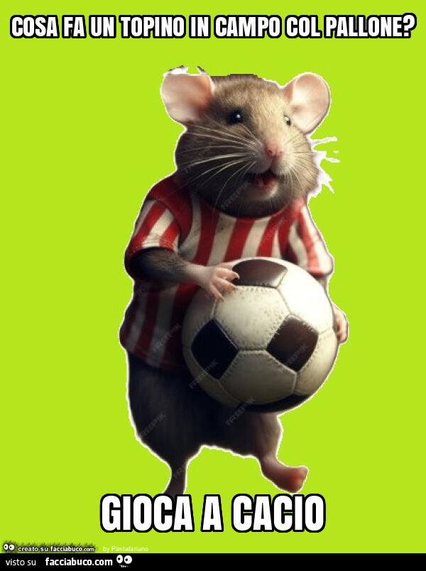 Cosa fa un topino in campo col pallone? Gioca a cacio