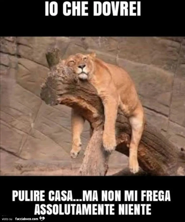 Tra il dire e il fare