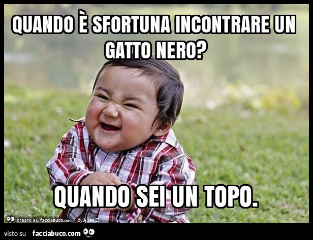 Quando è sfortuna incontrare un gatto nero? Quando sei un topo