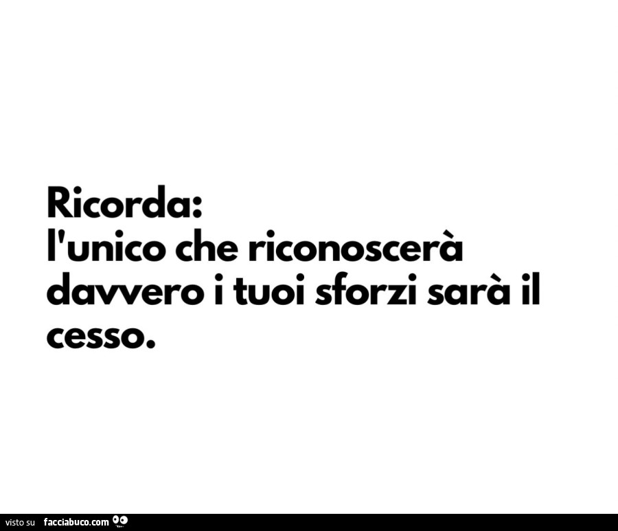 Ricorda: l'unico che riconoscerà davvero i tuoi sforzi sarà il cesso
