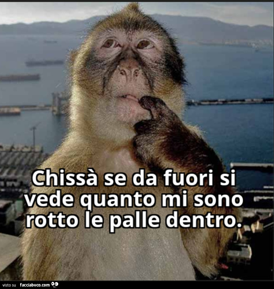 Chissà se da fuori si vede quanto mi sono rotto le palle dentro
