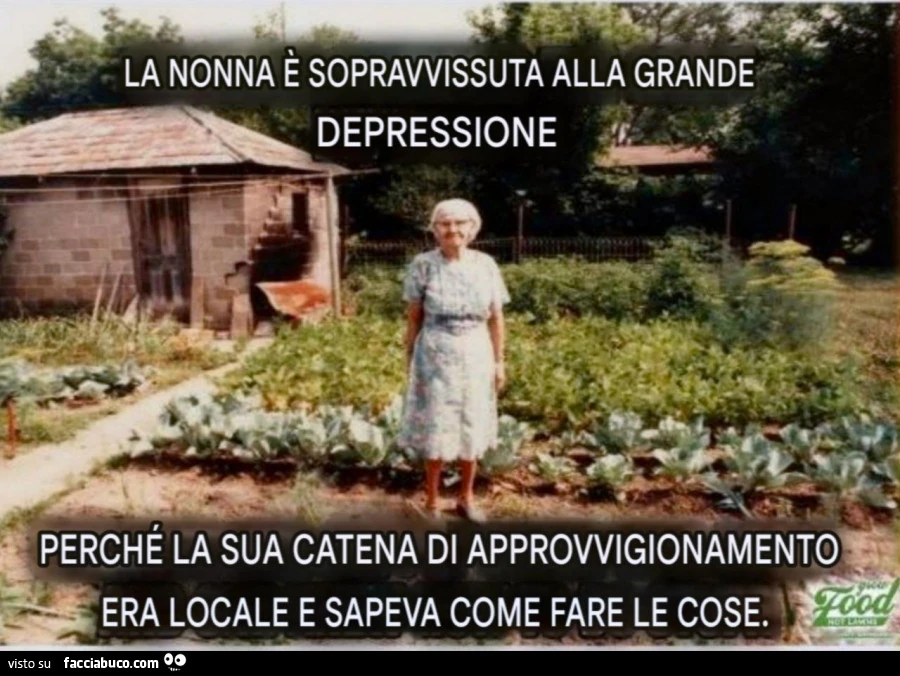 Vaccata