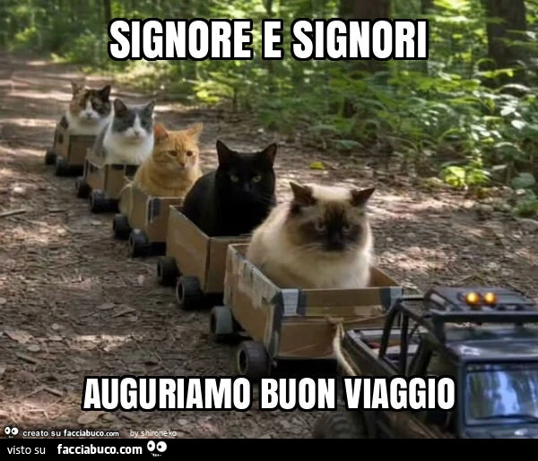 Signore e signori auguriamo buon viaggio