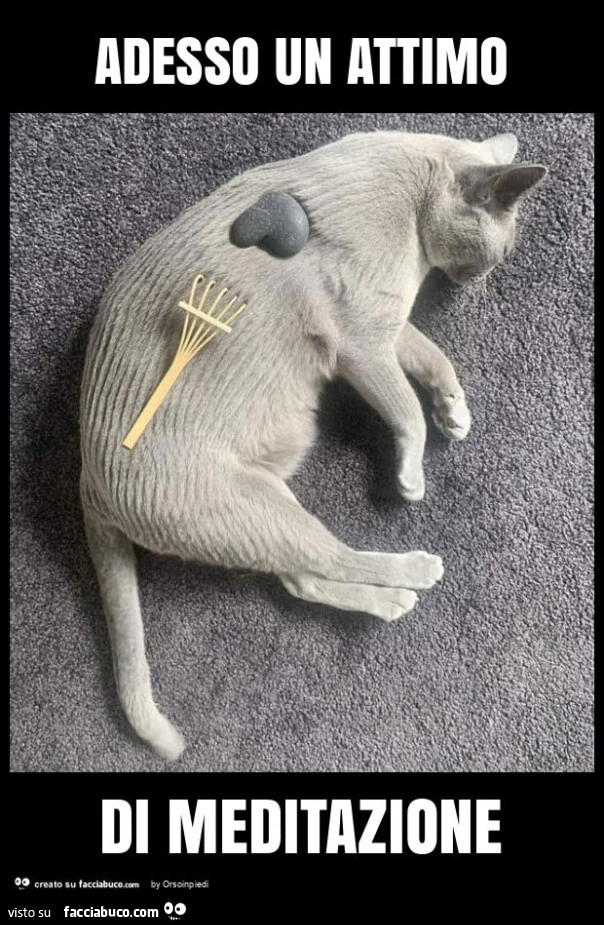 Adesso un attimo di meditazione
