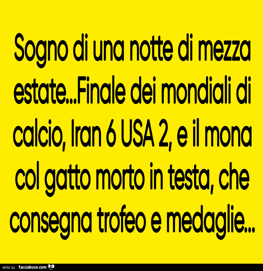 Sogno di una notte di mezza estate. Finale dei mondiali di calcio, iran 6 usa 2