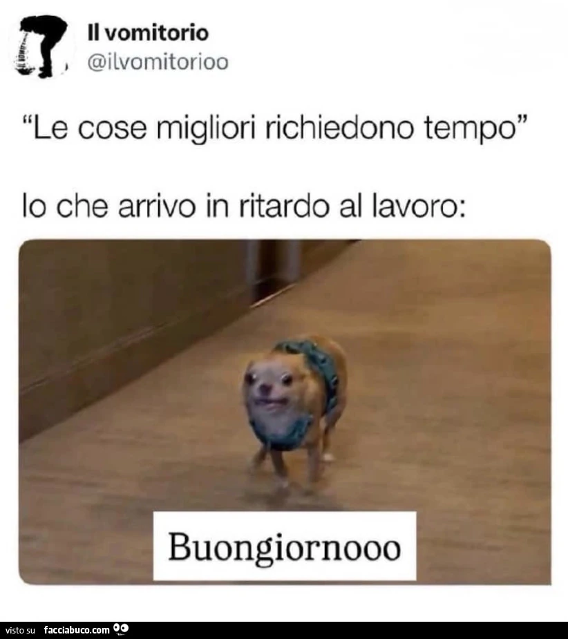 Vaccata