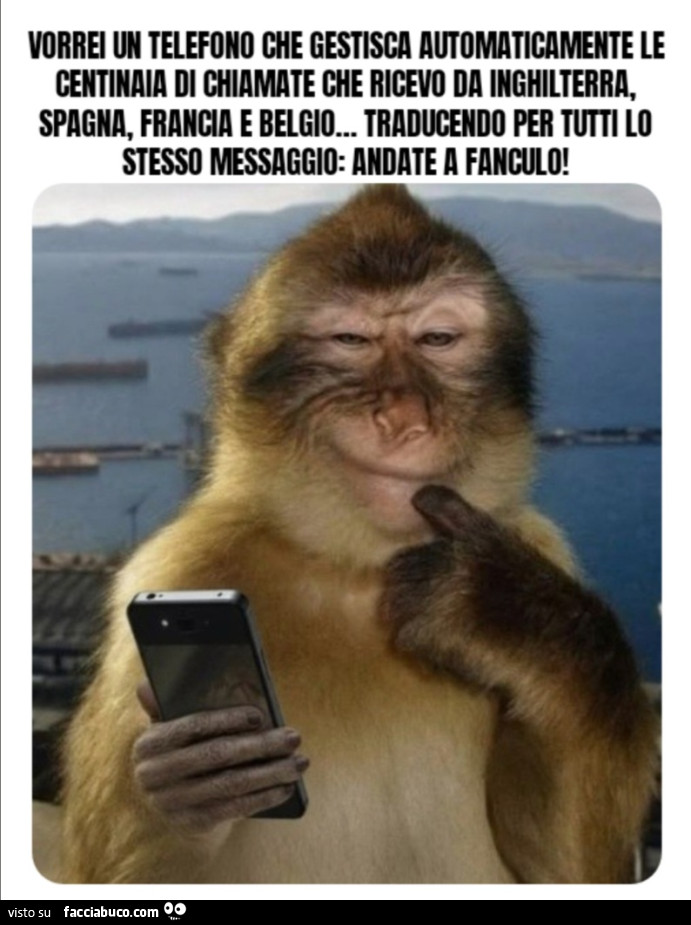 Vorrei un telefono che gestisca automaticamente le centinaia di chiamate che ricevo da Inghilterra, Spagna, Francia e Belgio&hellip; traducendo per tutti lo stesso messaggio: andate a fanculo