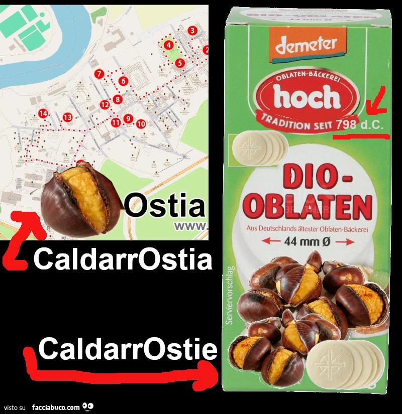 Vaccata