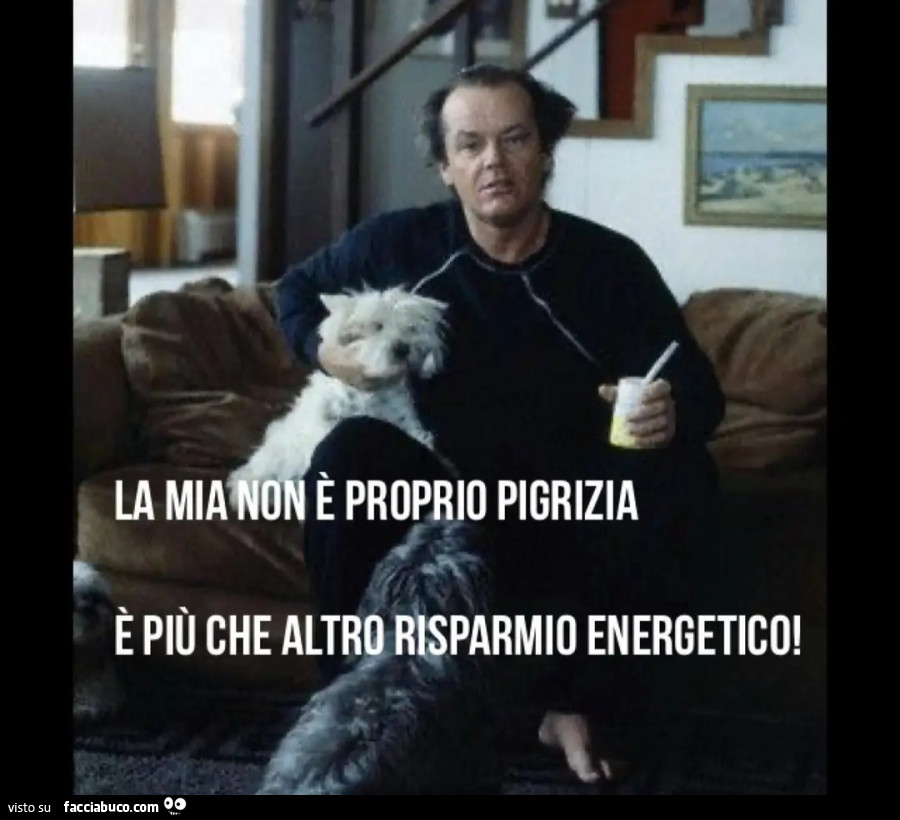 È LA MIA NON PROPRIO PIGRIZIA È PIÙ CHE ALTRO RISPARMIO ENERGETICO
