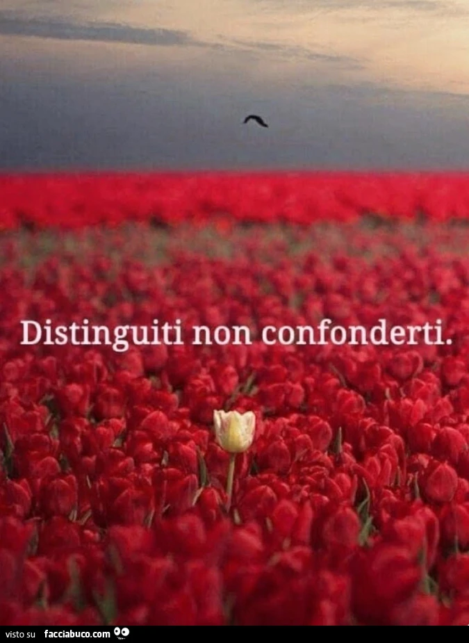 Anticonformista