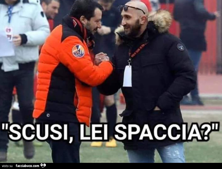Vaccata