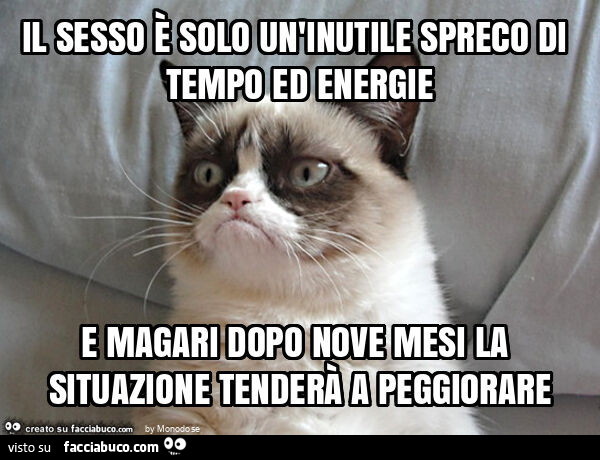 Il sesso è solo un'inutile spreco di tempo ed energie e magari dopo nove mesi la situazione tenderà a peggiorare