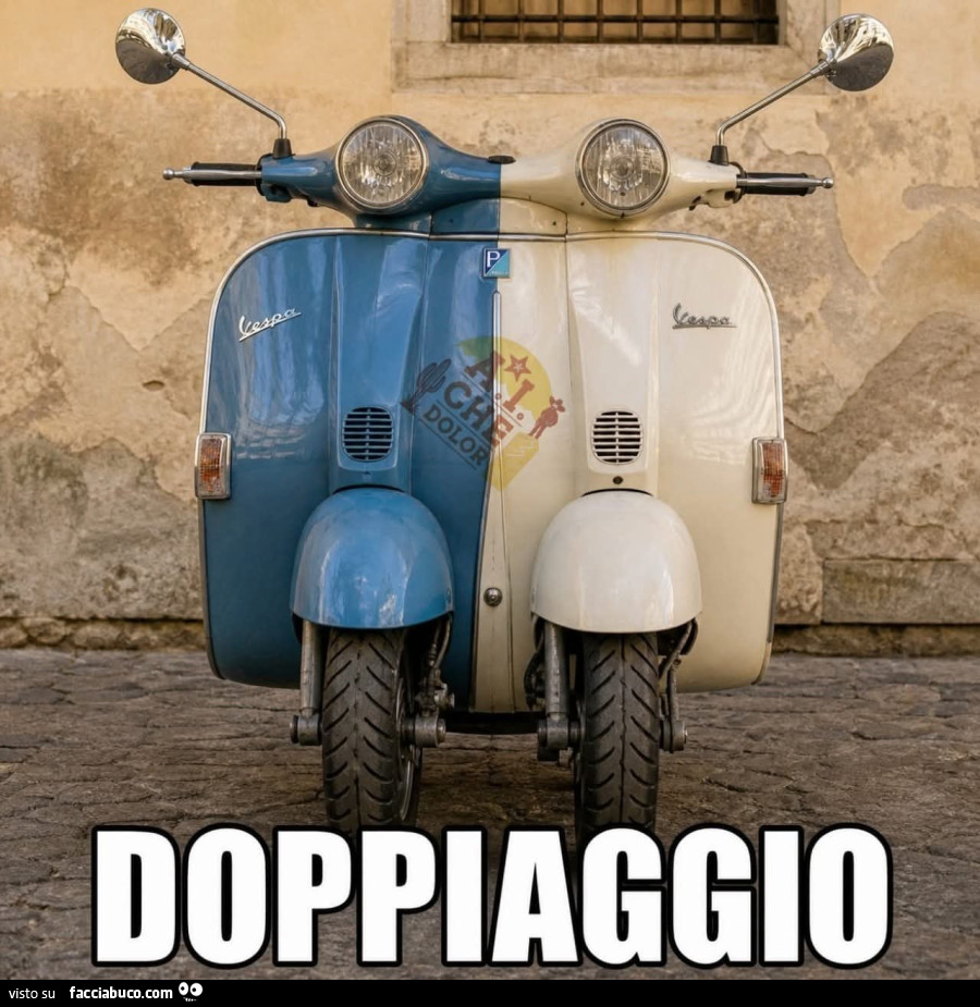 Vaccata
