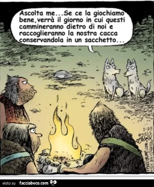 Vaccata