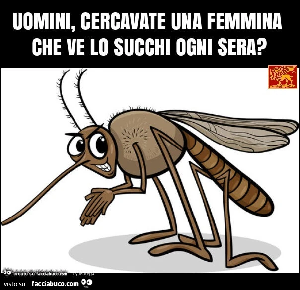 Uomini, cercavate una femmina che ve lo succhi ogni sera? Solo zanzare femmine succhiano sangue come le donne