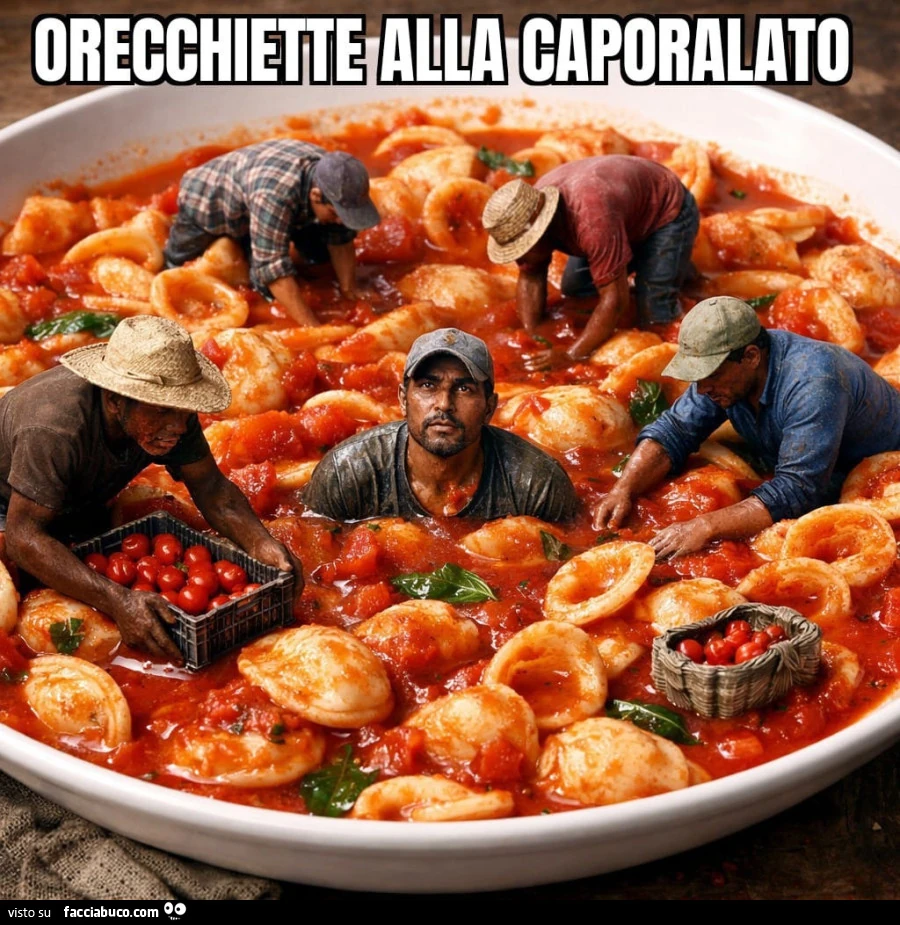 Vaccata